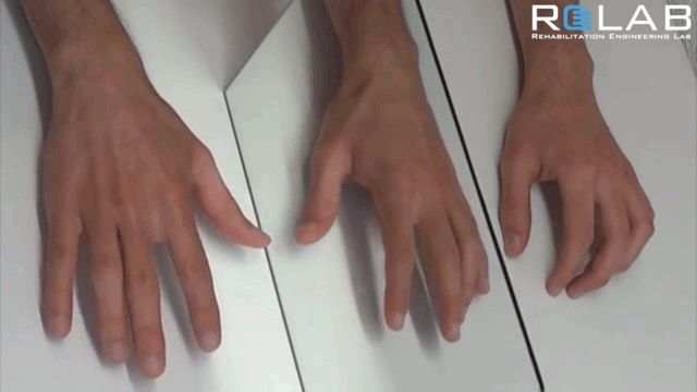 GIF of hands doing a mirror therapy exercice
